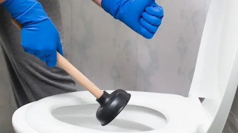 чистка унитаза от засора